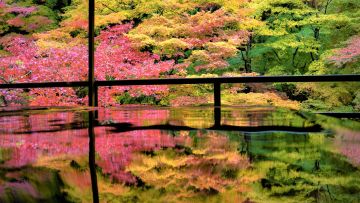 Kuil Rurikoin Kuil Rurikoin