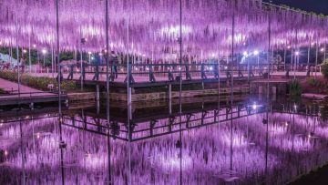 Ashikaga Flower Park Ashikaga Flower Park