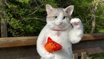 Tas kucing super realistis yang viral di Jepang Tas kucing super realistis yang viral di Jepang