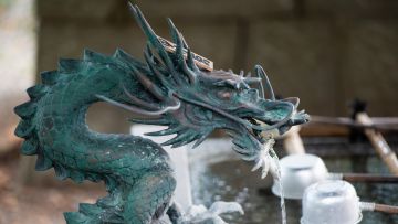 Naga cita-cita impian anak jepang japanesestation.com