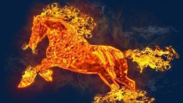 Ilustrasi Hinoe-Uma angka kelahiran jepang hinoe uma japanesestation.com