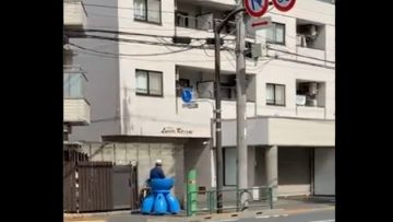 Tachikoma Tachikoma