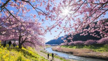 Minamiizu Town Tourism Association