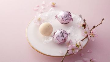 Lindt Japan Lindt Japan