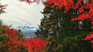 Mt Fuji Mt Fuji