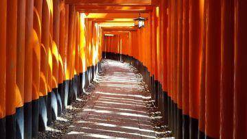 Fushimi Inari di Kyoto, Jepang Fushimi Inari di Kyoto, Jepang (foto:snowmonkeyresorts.com)