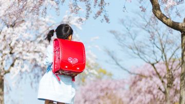 Randoseru Jepang, Pakutaso Randoseru Jepang, Pakutaso