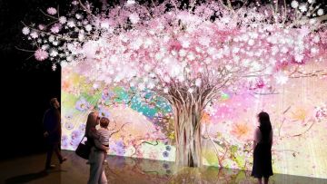 Hanayashiki, Taman hiburan berusia 140 tahun di Tokyo, Jepang