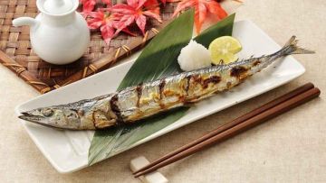 Ikan Sanma  Ikan Sanma
