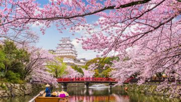 Sakura di tahun 2024 kapan Sakura di tahun 2024 kapan
