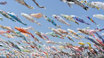 Koinobori Festa 1000 (GoodLuck Trip). Koinobori Festa 1000 (GoodLuck Trip).