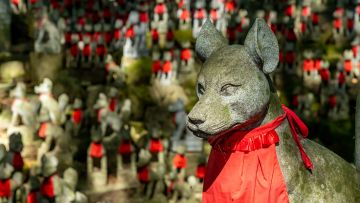 Ratusan patung rubah di Toyokawa Inari (Visit Aichi). Ratusan patung rubah di Toyokawa Inari (Visit Aichi).