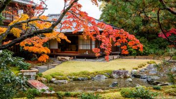 Private Villa yang Berdiri di Murin-An (Discover Kyoto/NIWAKA Corporation) Private Villa yang Berdiri di Murin-An (Discover Kyoto/NIWAKA Corporation)
