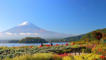 Pemandangan Gunung Fuji dari Oishi Park (ZEKKEI Japan). Pemandangan Gunung Fuji dari Oishi Park (ZEKKEI Japan).