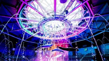 Pertunjukan lumba-lumba di malam hari (aqua-park.jp).