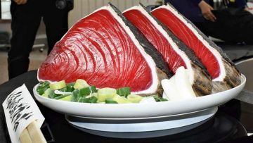 Katsuo no Tataki raksasa yang menyambut wisatawan d Bandara Kochi (Yomiuri Shimbun). Katsuo no Tataki raksasa yang menyambut wisatawan d Bandara Kochi (Yomiuri Shimbun).