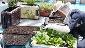 Hotel Niwa Tokyo sudah memanfaatkan koper rusak sejak tahun lalu (Tatsuro Tamaki/Mainichi). Hotel Niwa Tokyo sudah memanfaatkan koper rusak sejak tahun lalu (Tatsuro Tamaki/Mainichi).