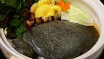 Suppon Nabe Biasa dimakan Oleh Orang Jepang Saat Musim Dingin (Website/Savor Japan) Suppon Nabe Biasa dimakan Oleh Orang Jepang Saat Musim Dingin (Website/Savor Japan)