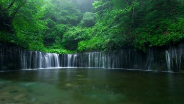 Air Terjun Shiraito yang menakjubkan di Karuizawa (go-nagano.net). Air Terjun Shiraito yang menakjubkan di Karuizawa (go-nagano.net).