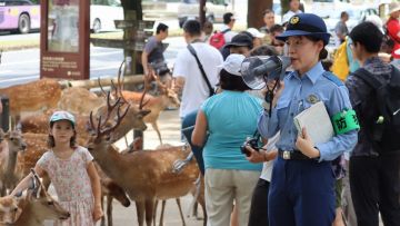 Petugas kepolisian Nara menghimbau para wisatawan untuk tidak menyakiti rusa. Petugas kepolisian Nara menghimbau para wisatawan untuk tidak menyakiti rusa.