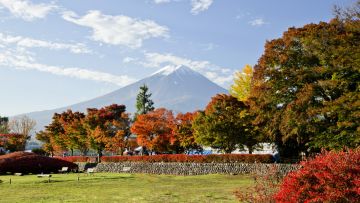 Gunung Fuji dan Momiji Kairou saat musim gugur tiba (en.kawaguchiko.net). Gunung Fuji dan Momiji Kairou saat musim gugur tiba (en.kawaguchiko.net).