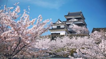 Istana Ozu yang dibangun dengan gaya tradisional Jepang (JNTO). Istana Ozu yang dibangun dengan gaya tradisional Jepang (JNTO).