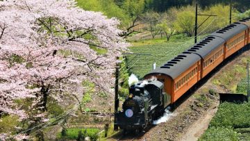 Kereta wisata Kawaneji-go yang melaju saat musim semi (JR Times). Kereta wisata Kawaneji-go yang melaju saat musim semi (JR Times).