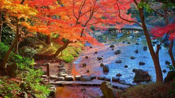 Pemandangan musim gugur di Koishikawa Korakuen Gardens Tokyo (Rakuten Travel)