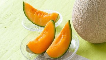 Melon Yubari yang mendunia (Japanese Taste). Melon Yubari yang mendunia (Japanese Taste).