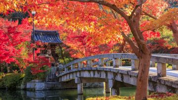 Kuil Eikando di Higashiyama dengan jembatannya yang ikonik (Zekkei Japan) Kuil Eikando di Higashiyama dengan jembatannya yang ikonik (Zekkei Japan)