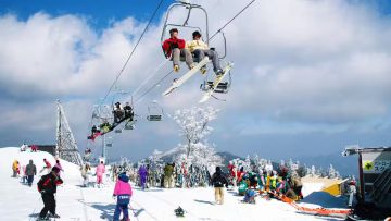 Gokase Highland Ski Resort (ANA) Gokase Highland Ski Resort (ANA)