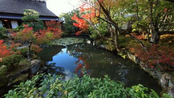 Isuien Garden. Isuien Garden.