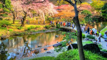 Koishikawa Korakuen Garden. Koishikawa Korakuen Garden.
