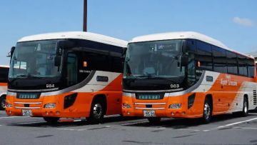 Narita Airport Limousine Bus Narita Airport Limousine Bus