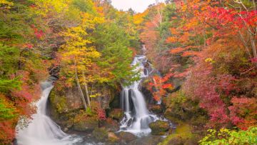 Air Terjun Ryuzu di Nikko menawarkan pemandangan musim gugur yang sempurna Air Terjun Ryuzu di Nikko menawarkan pemandangan musim gugur yang sempurna