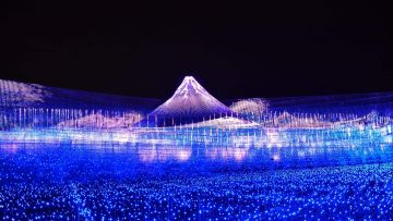 Nabana no Sato 2024 Nabana no Sato 2024