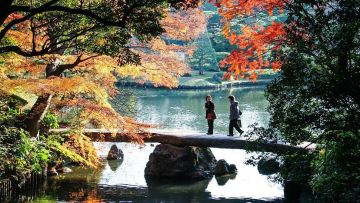 Rikugien Garden. Rikugien Garden.
