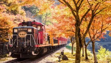 Sagano Romantic Train Sagano Romantic Train