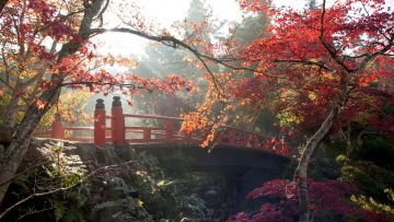 Momijidani Park. Momijidani Park.