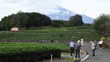 Spot foto komposit di Shizuoka. Spot foto komposit di Shizuoka.