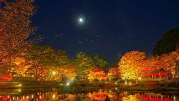 Shuzenji Niji no Sato Autumn Light Up (Hyakkei) Shuzenji Niji no Sato Autumn Light Up