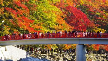 Korankei Momiji Matsuri Korankei Momiji Matsuri