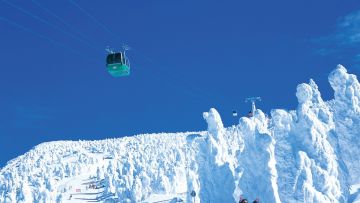 Juhyo atau monster salju yang terbentuk secara alami di Zao Onsen (Tohoku Tourism) Juhyo atau monster salju yang terbentuk secara alami di Zao Onsen