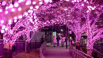 Meguro River Illuminations 2024 Meguro River Illuminations 2024