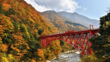 Kurobe Gorge Railway (JNTO) Kurobe Gorge Railway