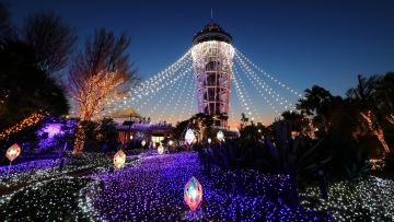 Iluminasi musim dingin Shonan no Hoseki (Kanagawa Travel) Iluminasi musim dingin Shonan no Hoseki (Kanagawa Travel)