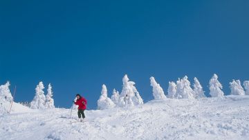 Wisata Prefektur Aomori Wisata Prefektur Aomori