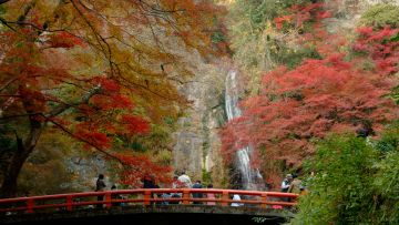 Keindahan Air Terjun Minoh di musim gugur Keindahan Air Terjun Minoh di dekat Osaka