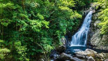 Wisata alam situs warisan dunia Wisata alam situs warisan dunia