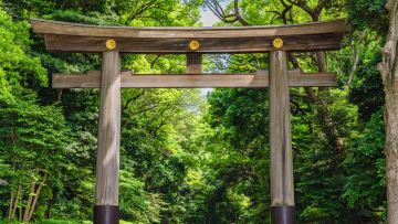 Gerbang torii yang menjulang tinggi di Meiji Jingu Gerbang torii yang menjulang tinggi di Meiji Jingu